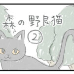 森の野良猫 ２ ひとりぼっち