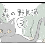 森の野良猫 ３ さみしい気持ち