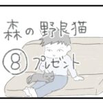 森の野良猫８ プレゼント