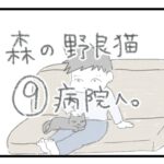 森の野良猫９ 病院へ！